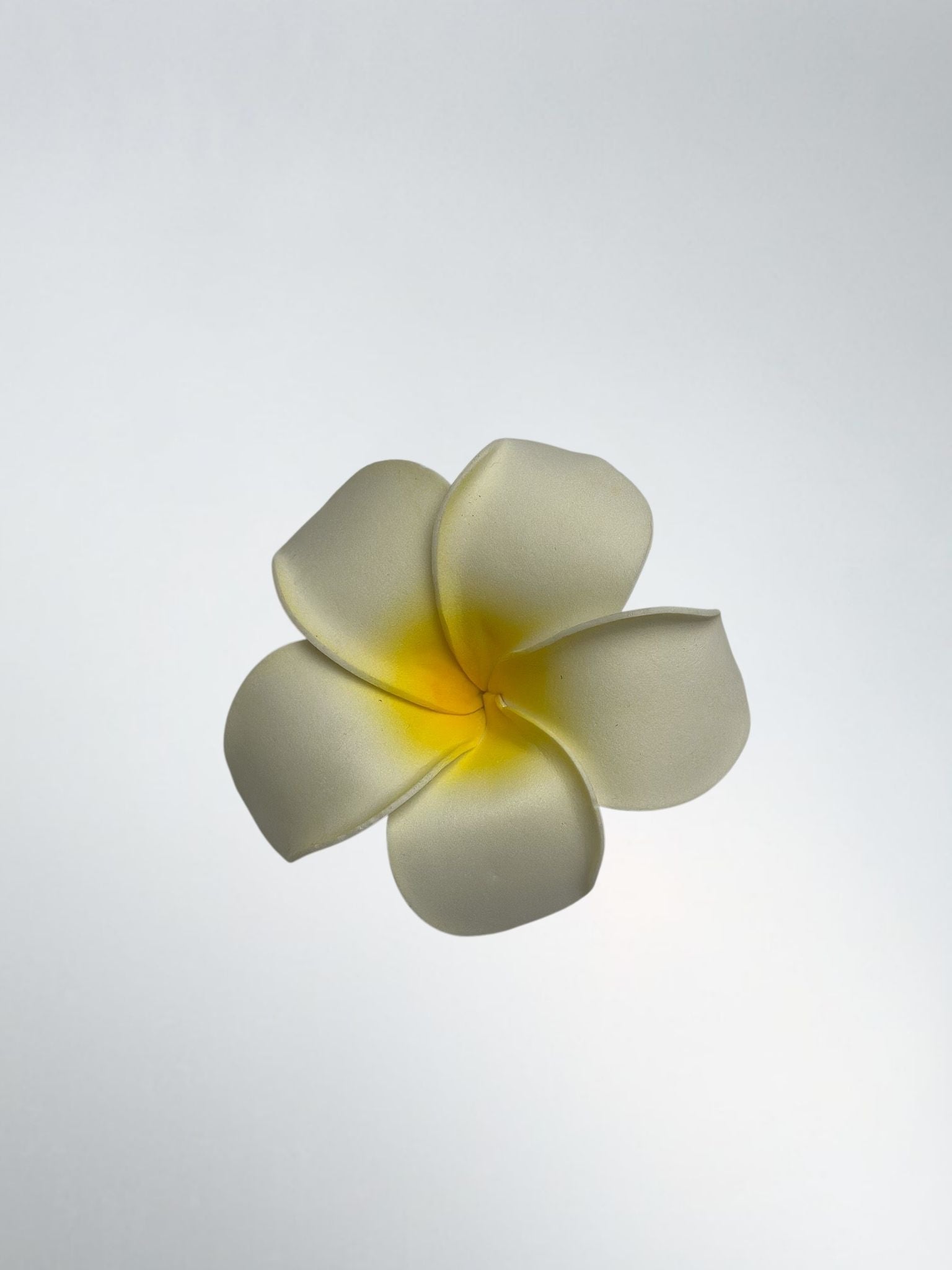 Hawaiian Flowers