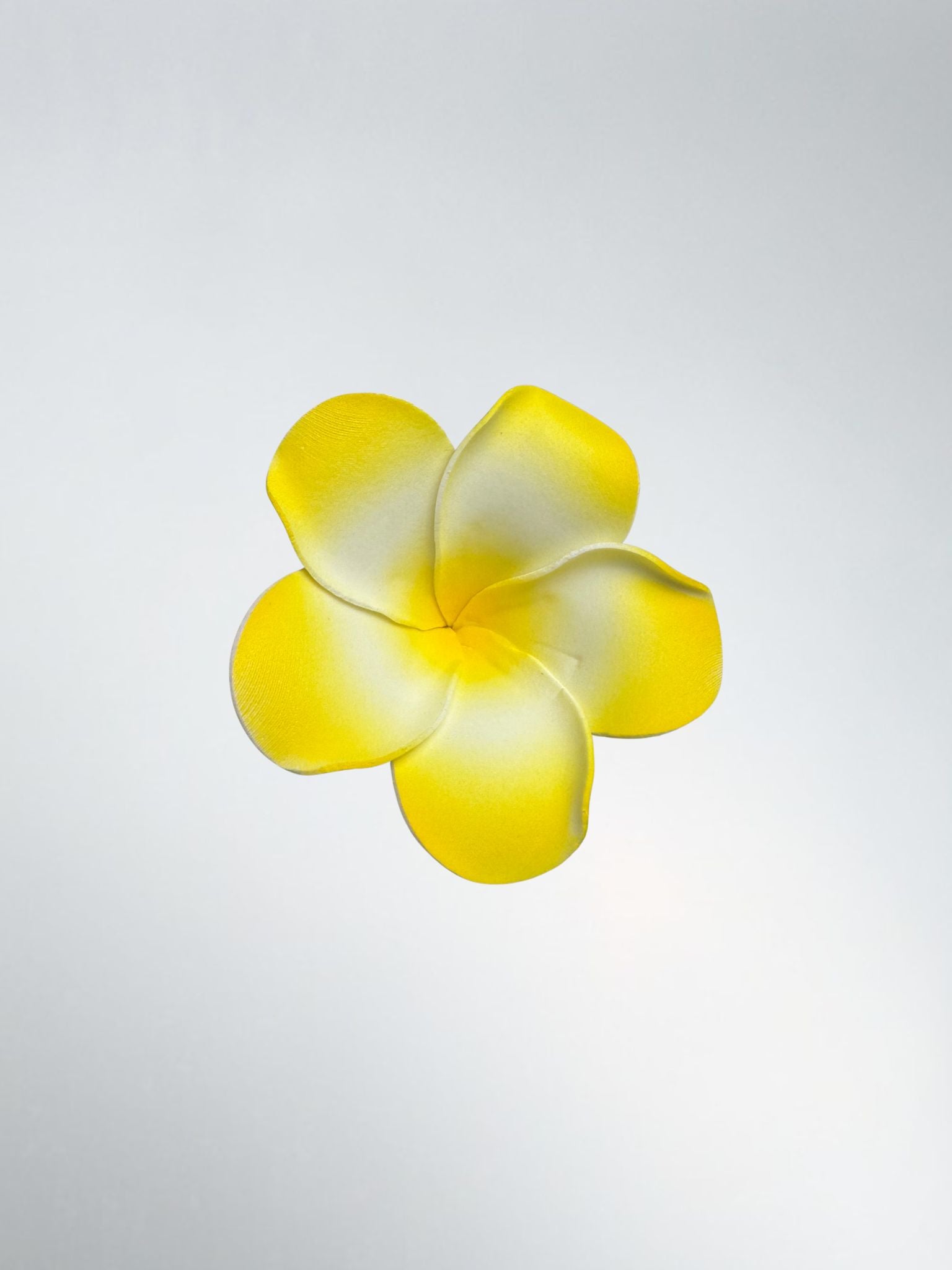 Hawaiian Flowers