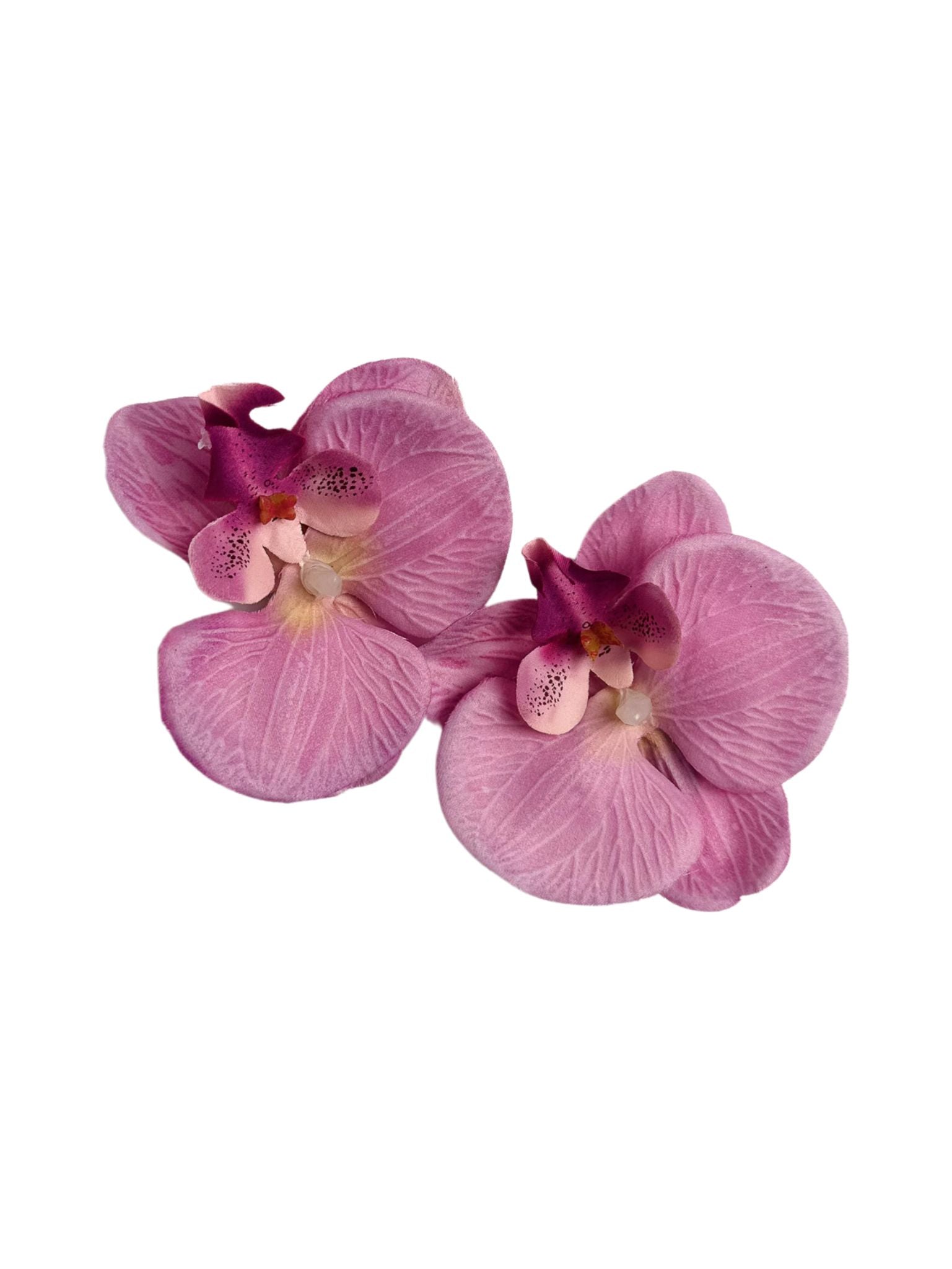Orchid Flower Clip