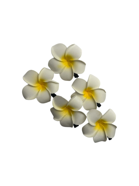 Hawaiian Flowers