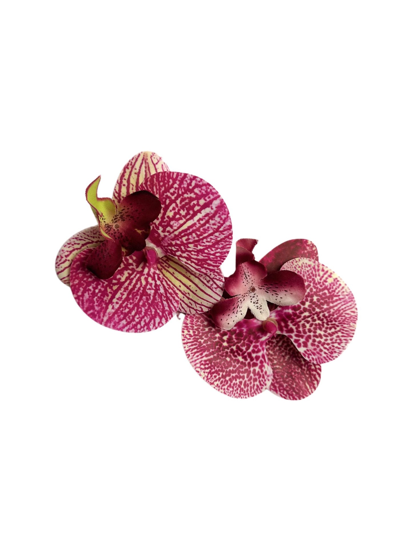 Orchid Flower Clip