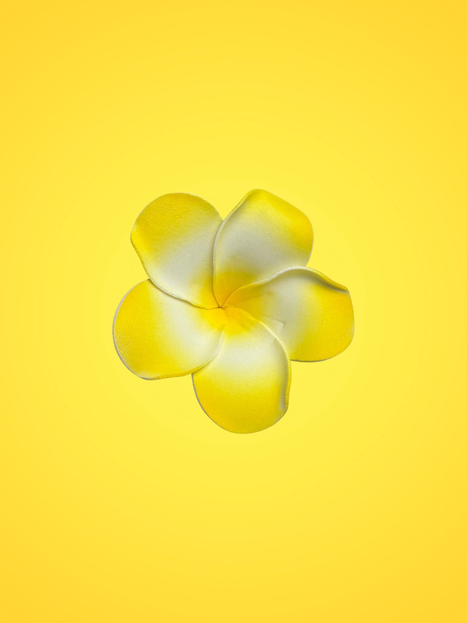 Hawaiian Flowers